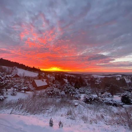 Pod Lesem Villa Cenkovice Esterno foto